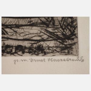 Ernst Hassebrauk, An der Elbe