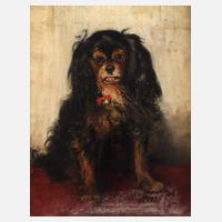 Clara Ewald, Hundeportrait111