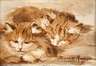 Henriette Ronner, Schlafende Katzen