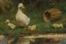Constant Artz, Enten am Weiher