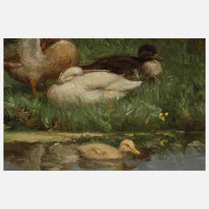 Constant Artz, Enten am Weiher