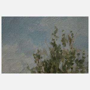 Constant Artz, Enten am Weiher