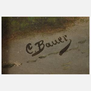 E. Bauer, Alpenlandschaft