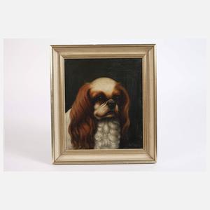 Albert Haug, "King Charles Spaniel"
