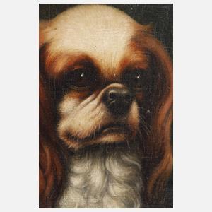 Albert Haug, "King Charles Spaniel"