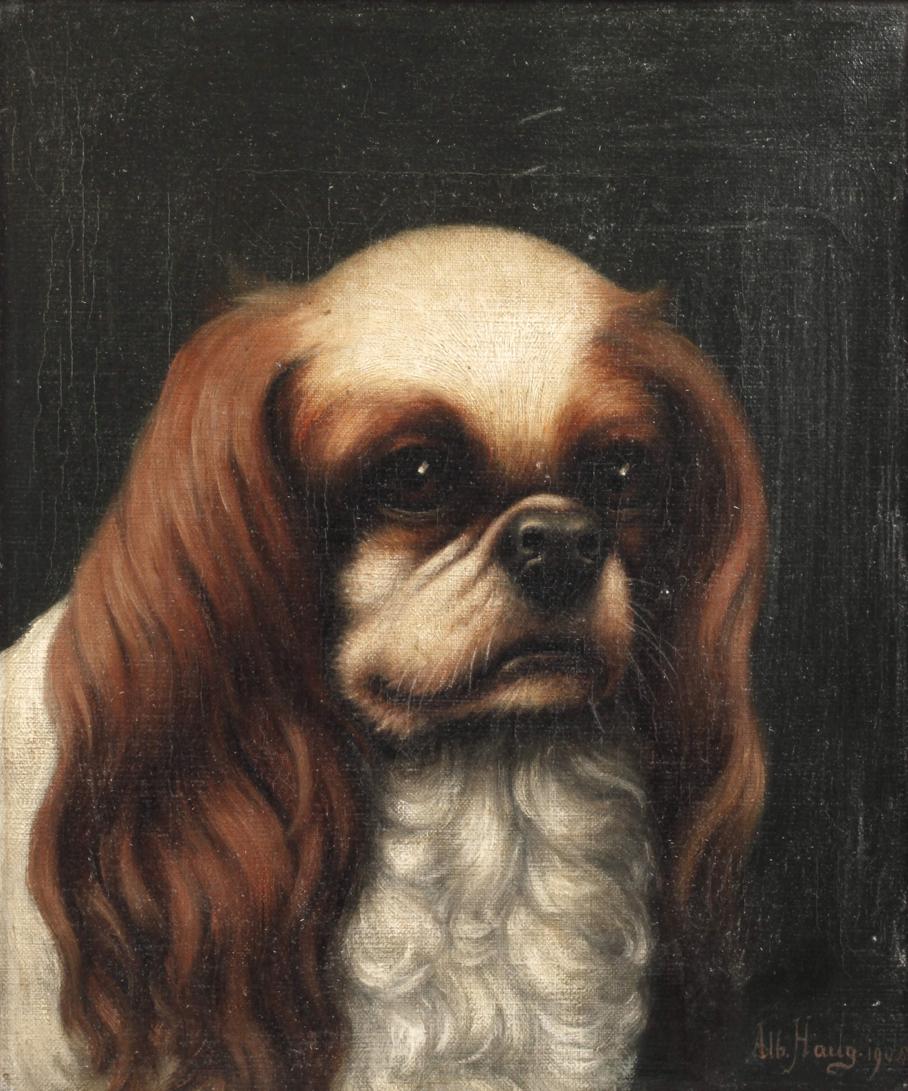 Albert Haug, "King Charles Spaniel"