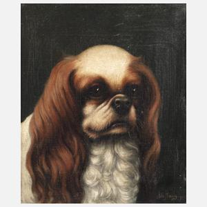 Albert Haug, "King Charles Spaniel"