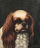 Albert Haug, "King Charles Spaniel"