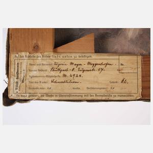 Eugenie Mayer-Meggenhofen, "Schwertlilien"