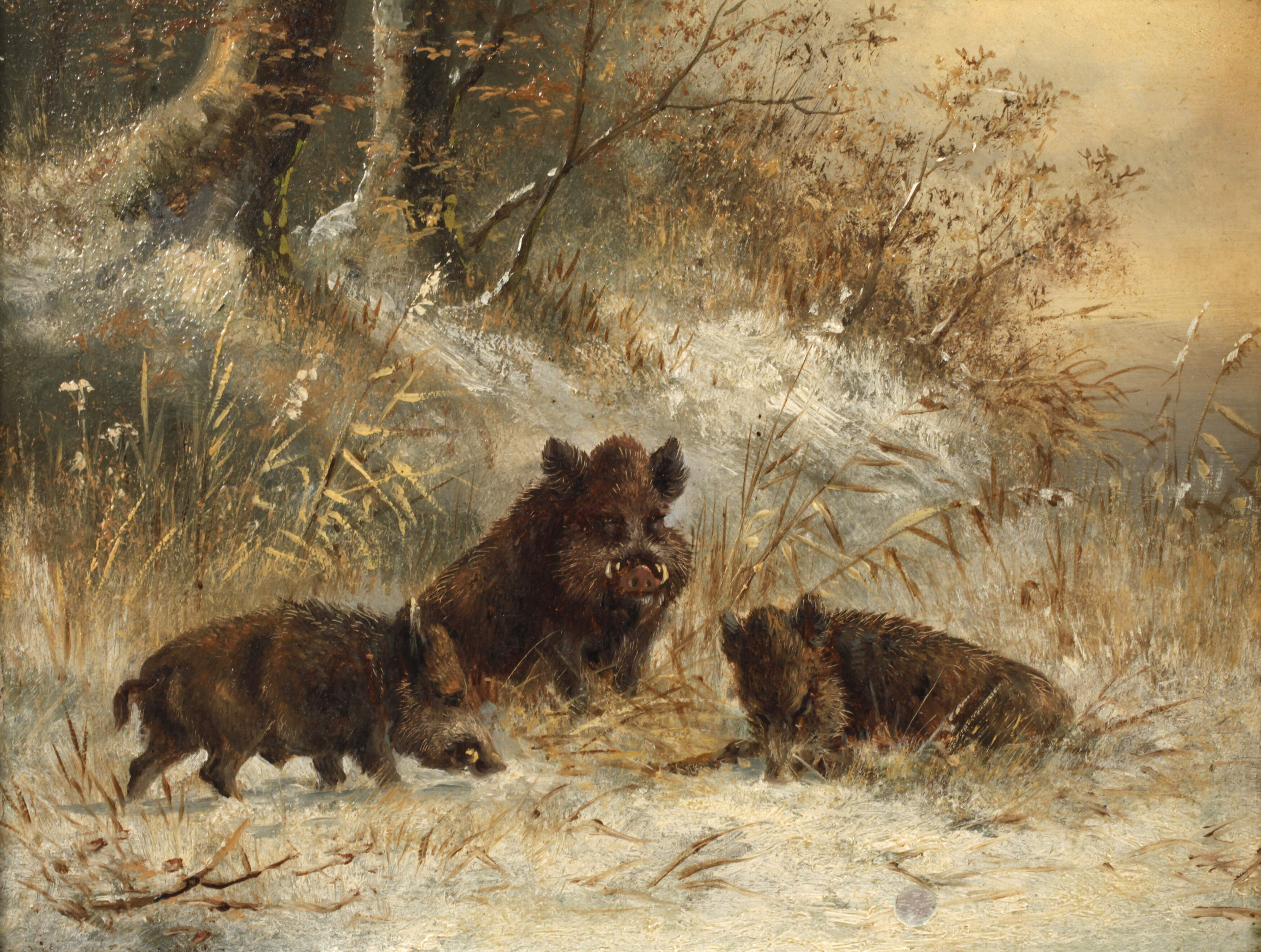 Moritz Müller-München, Wildschweinrotte im Winter