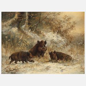 Moritz Müller-München, Wildschweinrotte im Winter