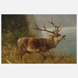 Moritz Müller-München, Hirschbrunft am Königsee