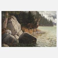 Ludwig Paulus, attr., Hirsch am Wasser111