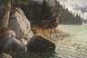 Ludwig Paulus, attr., Hirsch am Wasser
