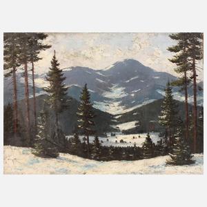 Vladimir Raszka, Verschneite Gebirgslandschaft