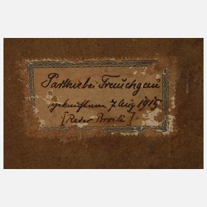 Franz Reder-Broili, "Parthie bei Trauchgau"