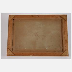 Roder, Adlerstudie aus dem Zoo in Leipzig