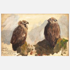 Roder, Adlerstudie aus dem Zoo in Leipzig