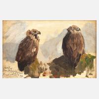 Roder, Adlerstudie aus dem Zoo in Leipzig111