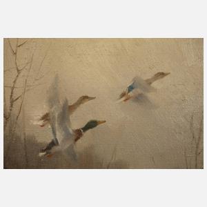 Manfred Schatz, Auffliegende Enten