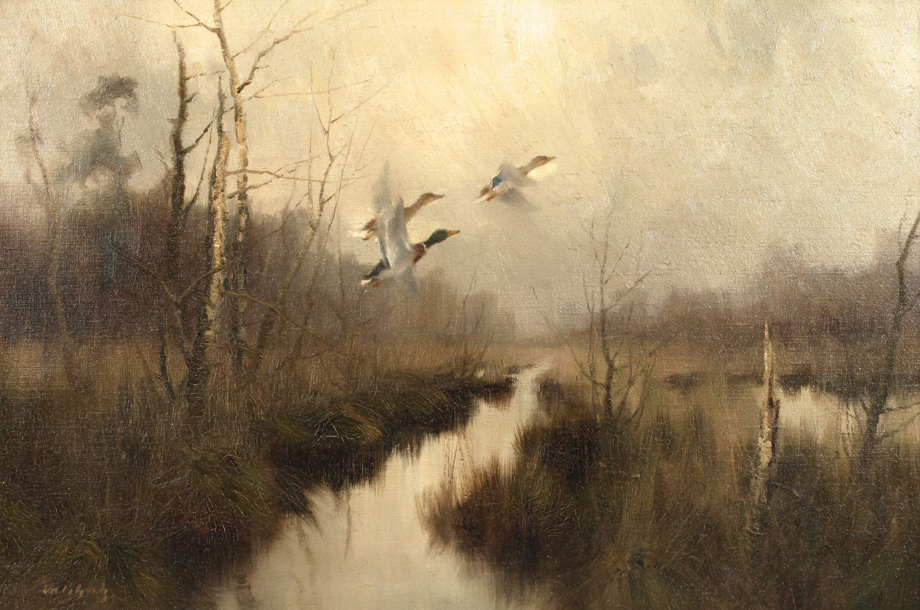 Manfred Schatz, Auffliegende Enten