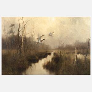 Manfred Schatz, Auffliegende Enten