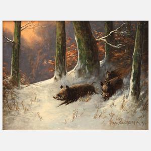 Otto Scheuerer, Wildschweine im Winterwald
