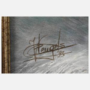 Christiane Vleugels, Wintertraum