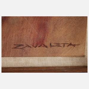 Severo Enrique Zavaleta, Alter Mann mit Bart