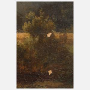 Idyllische Sommerlandschaft mit Viehhirtin