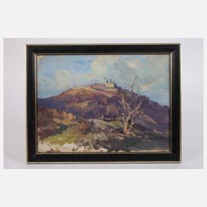 Leopoldsberg bei Döbling