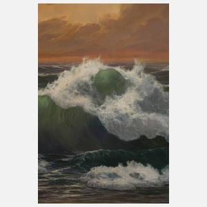 Meeresbrandung im Abendlicht