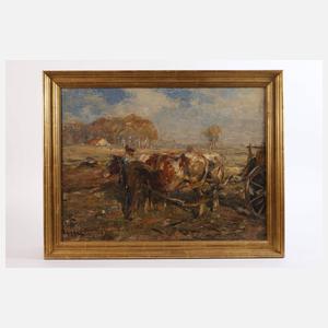 Piet Leysing, Bauer mit Ochsen bei der Feldarbeit