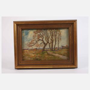 Hugo Pfahlmer, Im Dachauer Moos