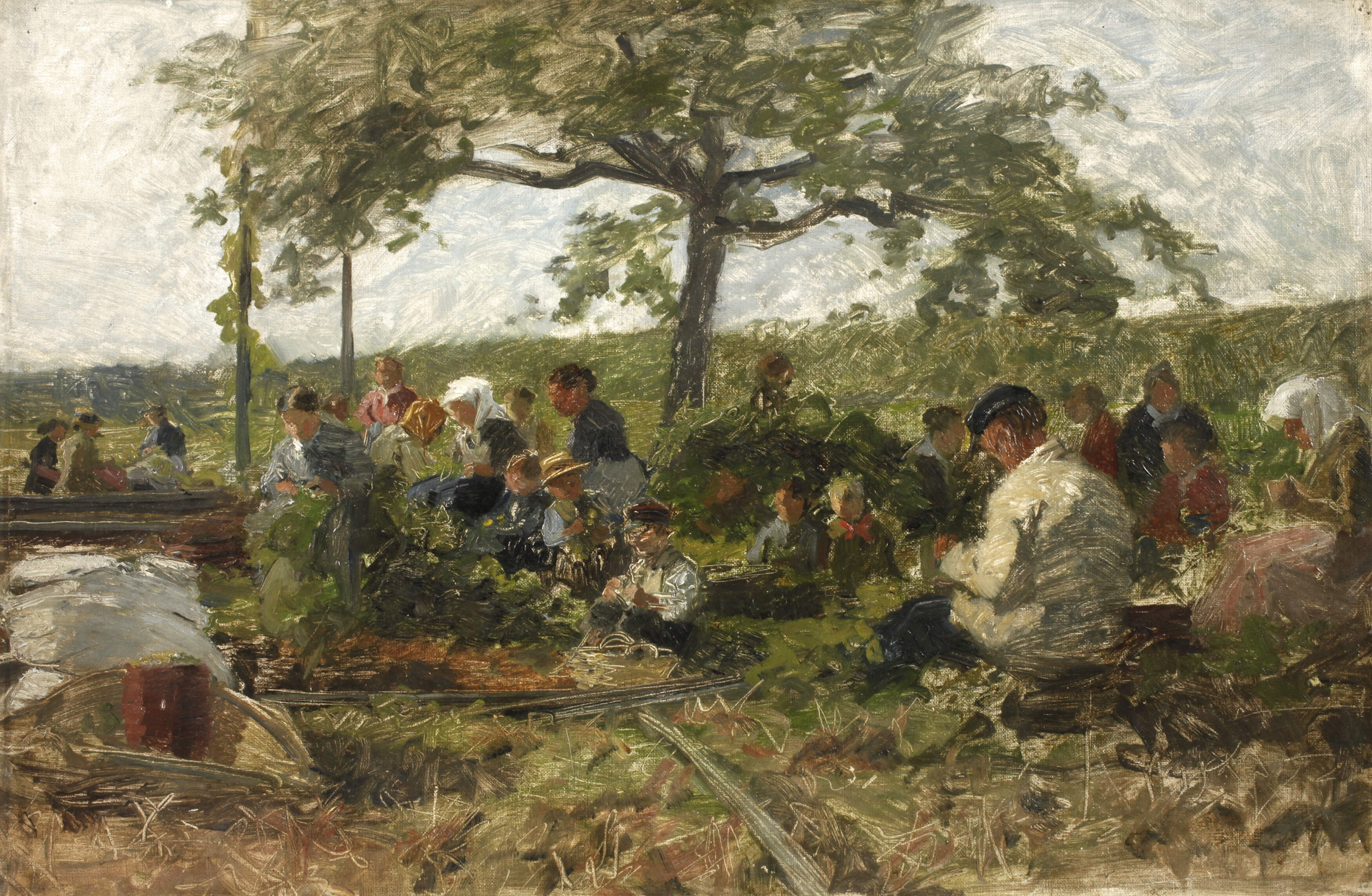 Erntehelfer bei der Hopfenernte