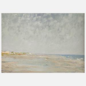 Lichte Küstenlandschaft