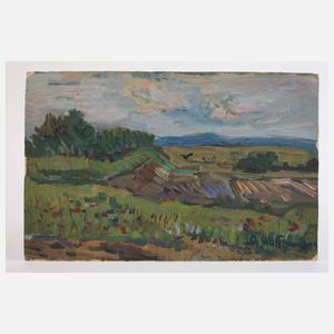 Alexander Wolfgang, "Blick ins Elstertal"