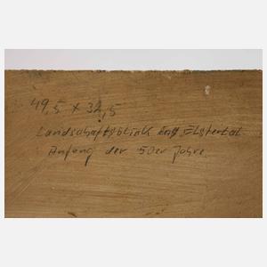 Alexander Wolfgang, "Blick ins Elstertal"