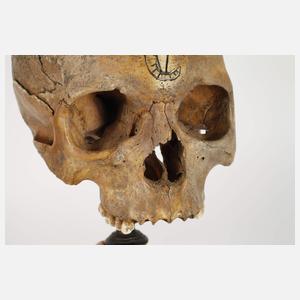 Barocker Schwurschädel