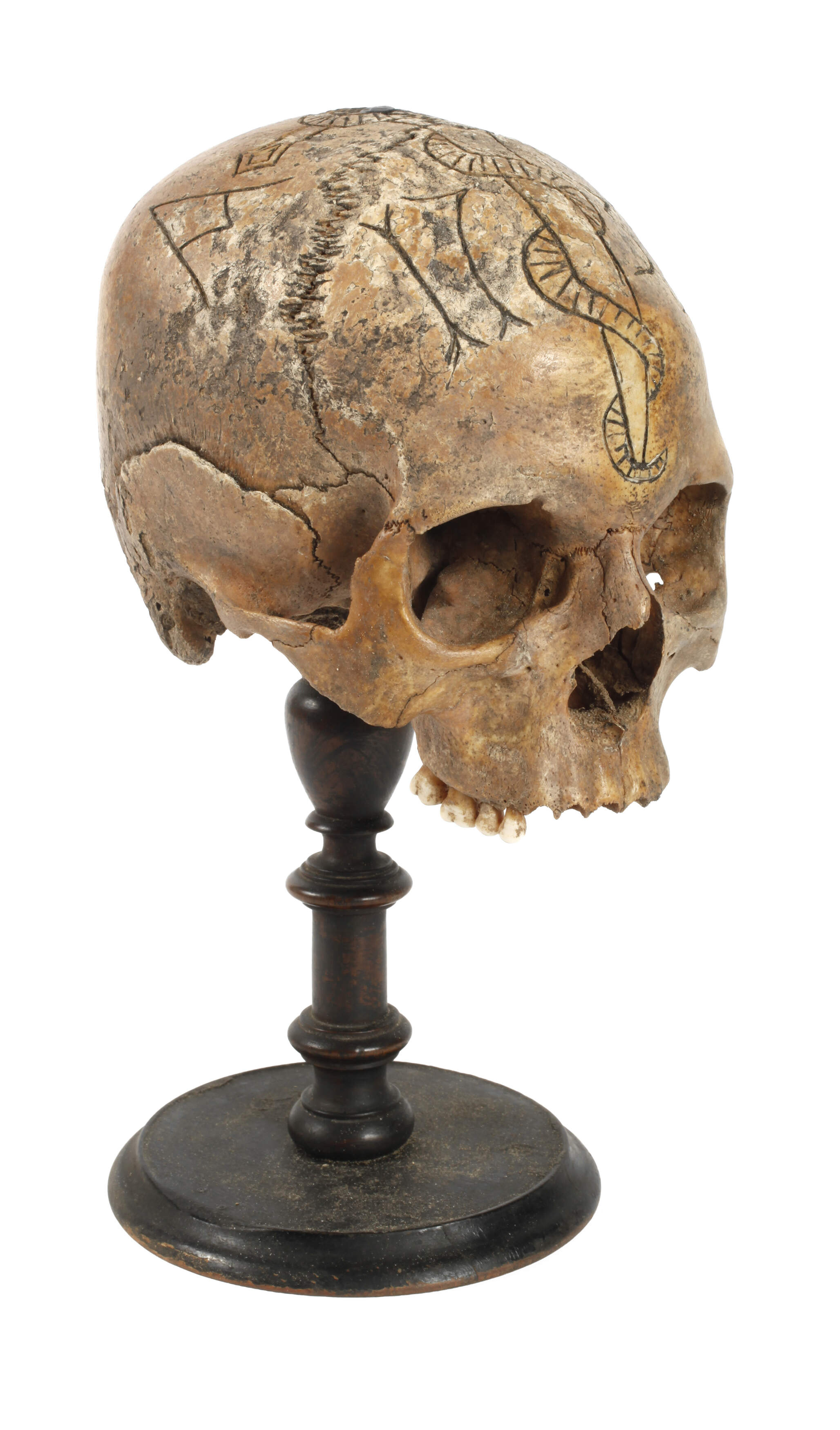 Barocker Schwurschädel