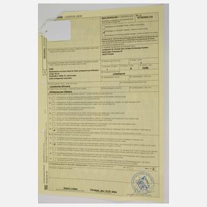 Spazierstock Elfenbein