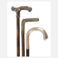 Drei Spazierstöcke111