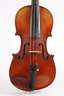Violine im Etui