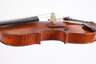 Violine im Etui