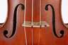 Violine im Etui
