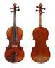 Violine im Etui