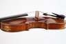 Violine im Etui