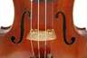 Violine im Etui