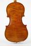 Violine im Etui
