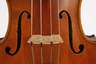 Violine im Etui